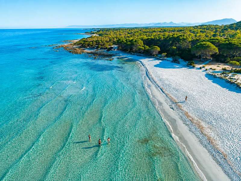 La pineta dell'Oasi di Bidderosa che incontra l'acqua bassa sulla costa di Orosei